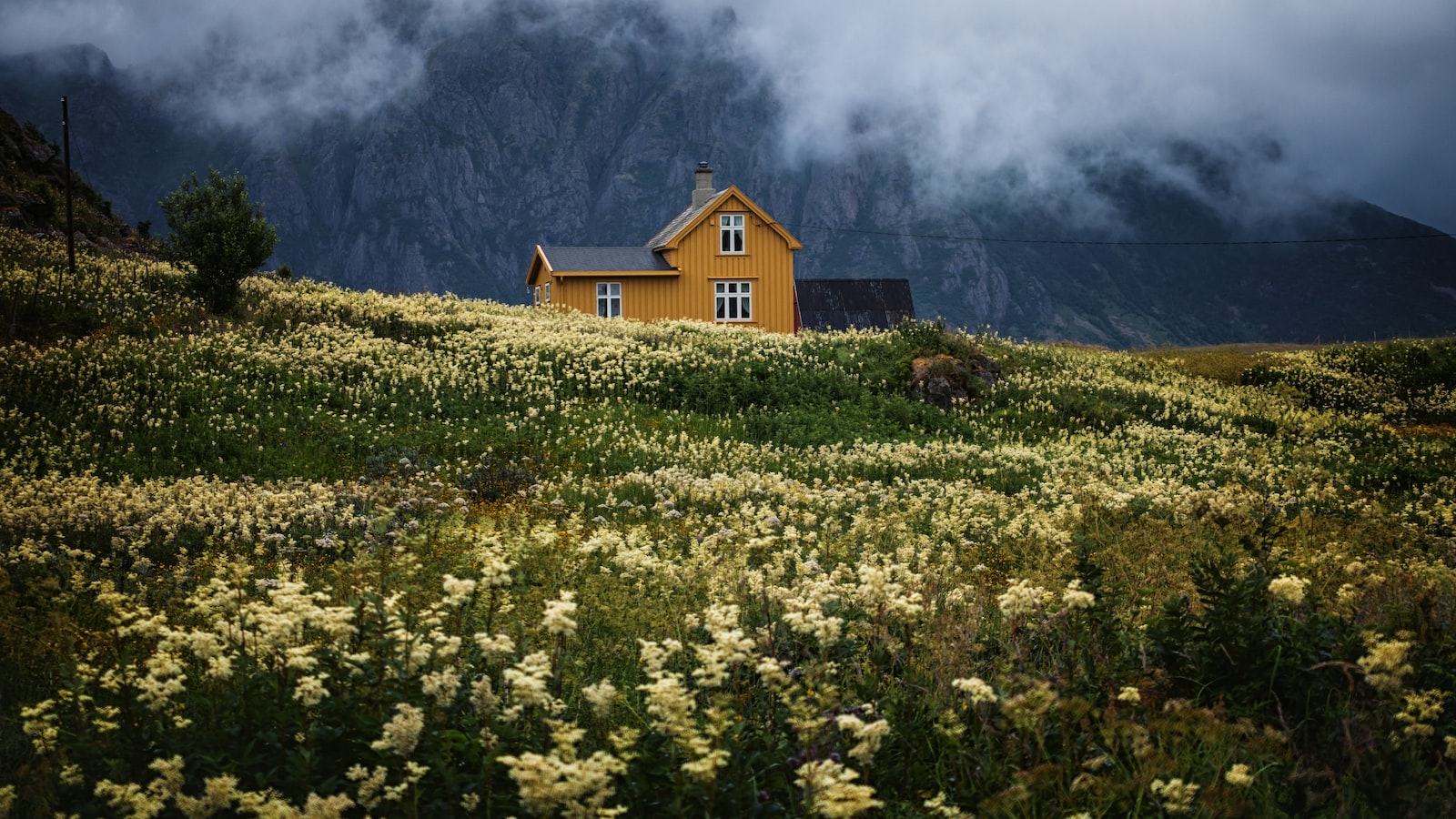 Lugar Exótico e Impressionante: A Beleza Natural dos Fiordes da Noruega